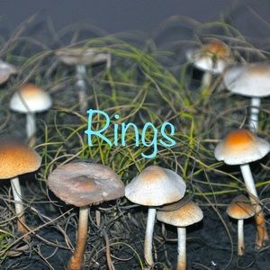 💜Rings💜